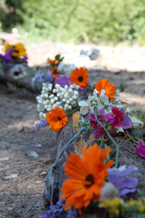 36879_1512631341515_1406356695_1352482_6529905_n